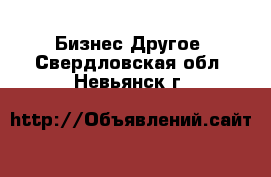 Бизнес Другое. Свердловская обл.,Невьянск г.